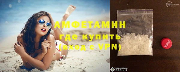 шишки Аркадак