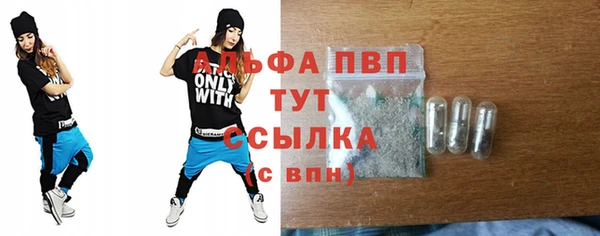 шишки Аркадак