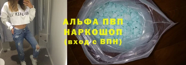 шишки Аркадак