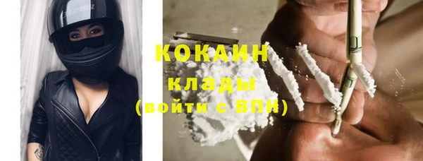 шишки Аркадак
