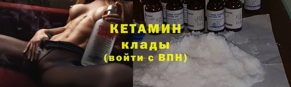 шишки Аркадак