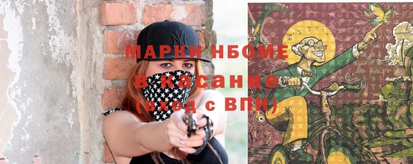 шишки Аркадак
