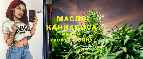 шишки Аркадак
