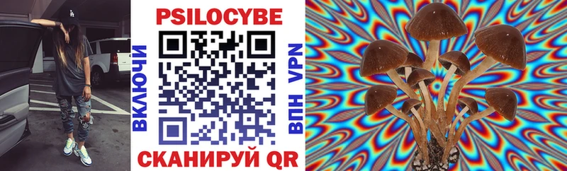 Галлюциногенные грибы GOLDEN TEACHER  Купить закладки  Тотьма 